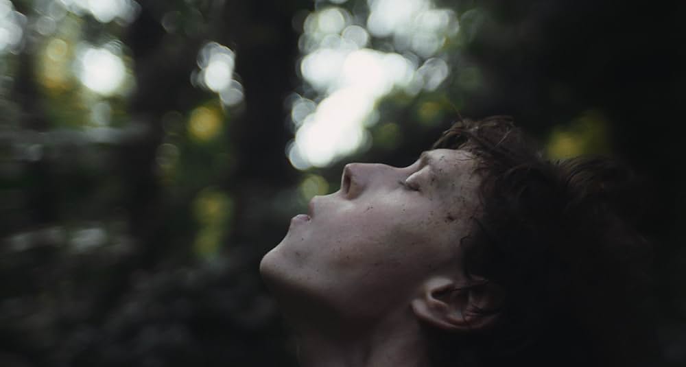 WOLF ウルフの画像