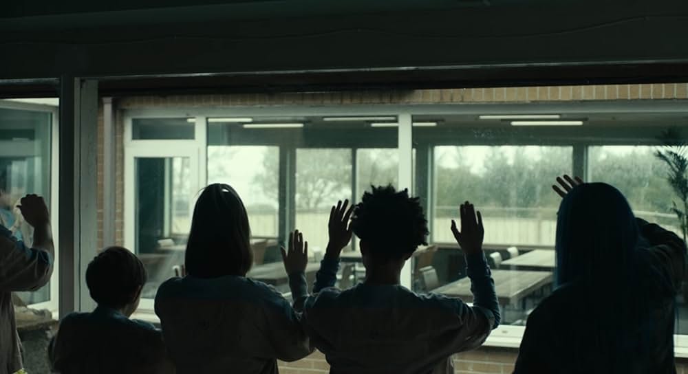 WOLF ウルフの画像