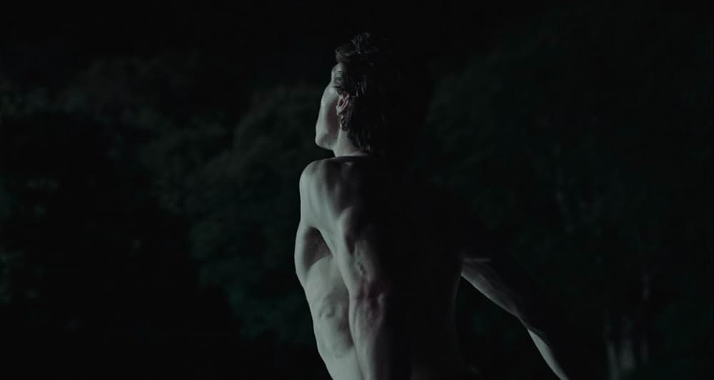 WOLF ウルフの画像