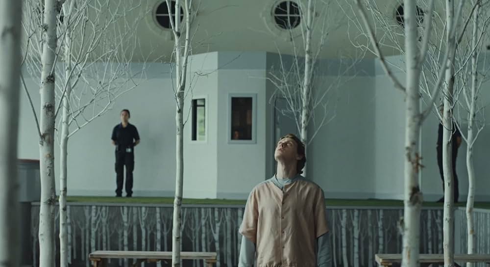 WOLF ウルフの画像