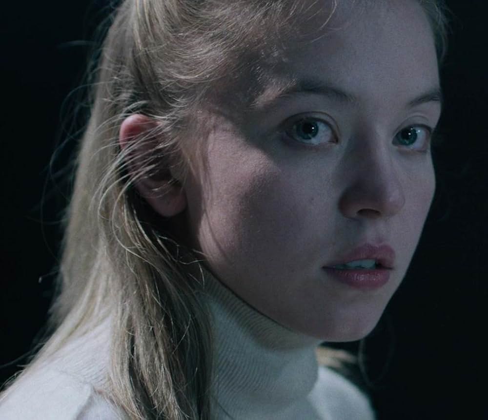 ノクターンの画像