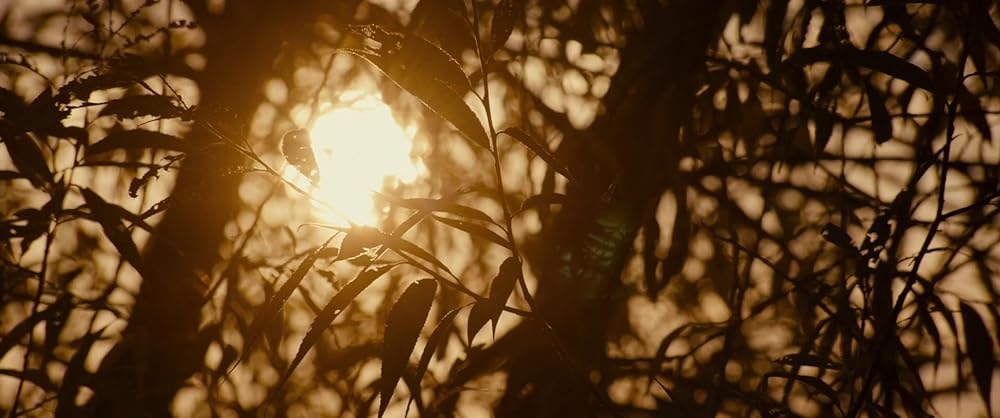 私立探偵エイブ 折り紙殺人事件の画像