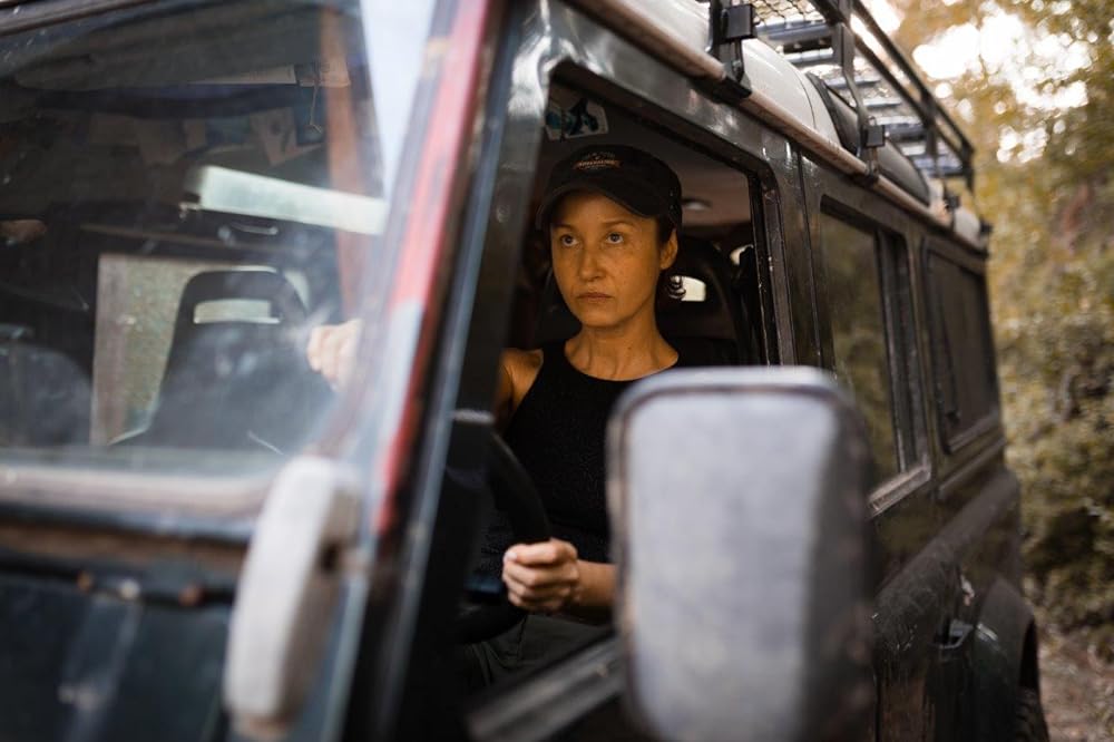 誰も眠らない森の画像