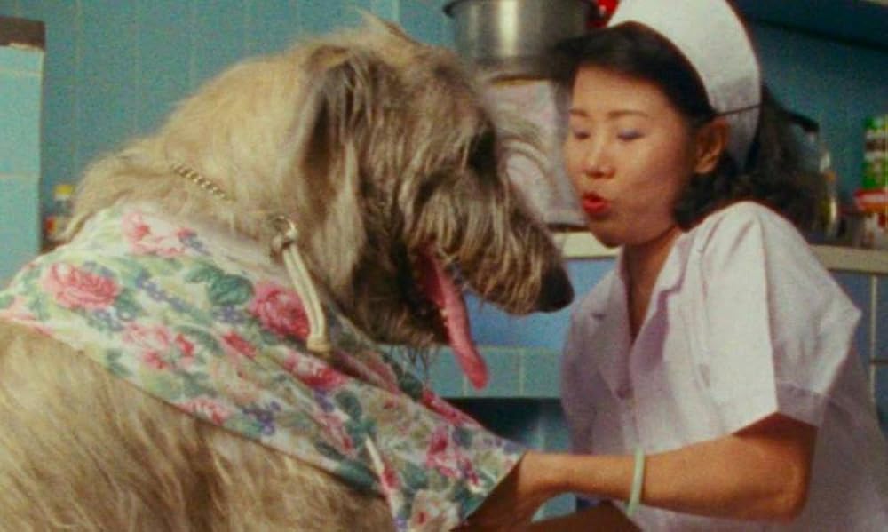 消えた16mmフィルムの画像