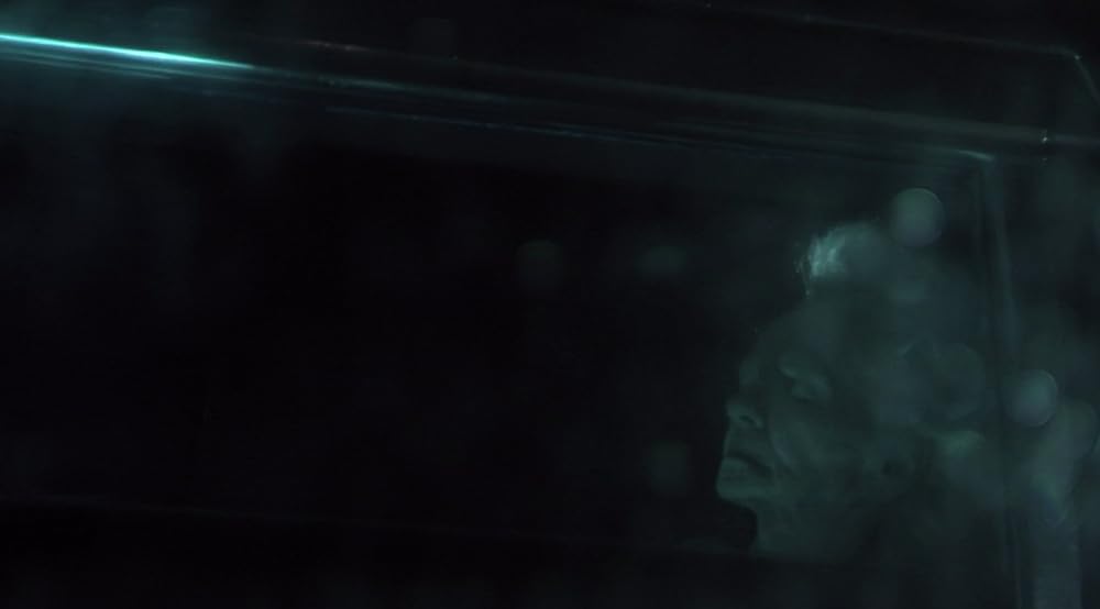 クロムスカルの画像