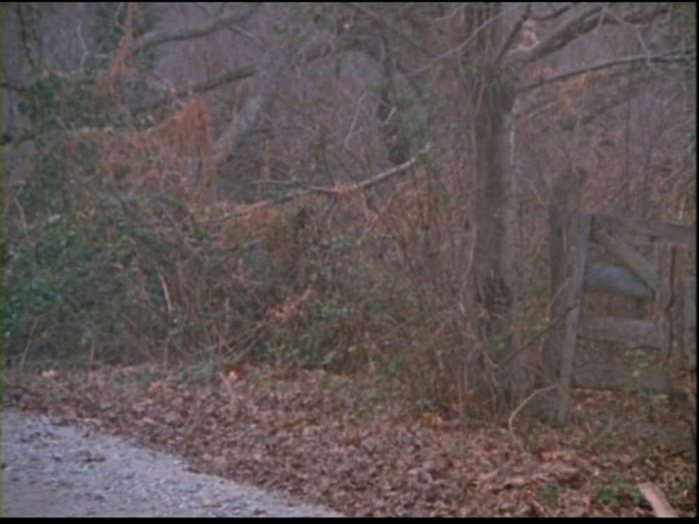 デスペレート・リビングの画像