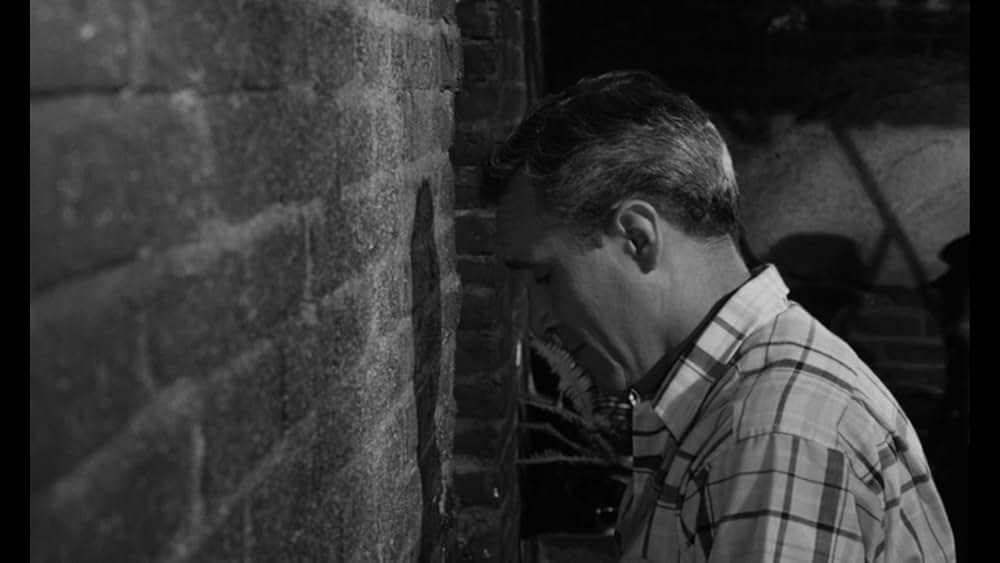 裏街・太陽の天使の画像