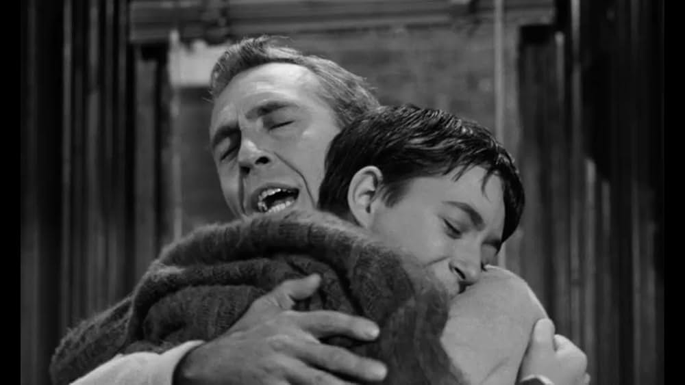 裏街・太陽の天使の画像