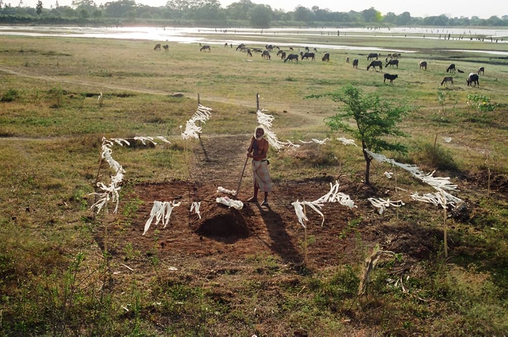 満月の日の死の画像