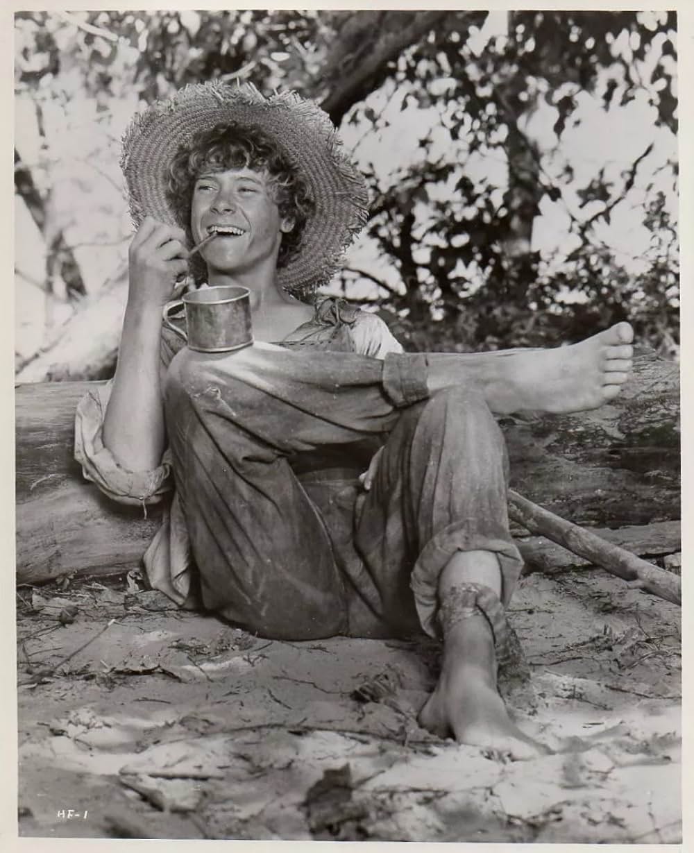 ハックルベリーの冒険の画像