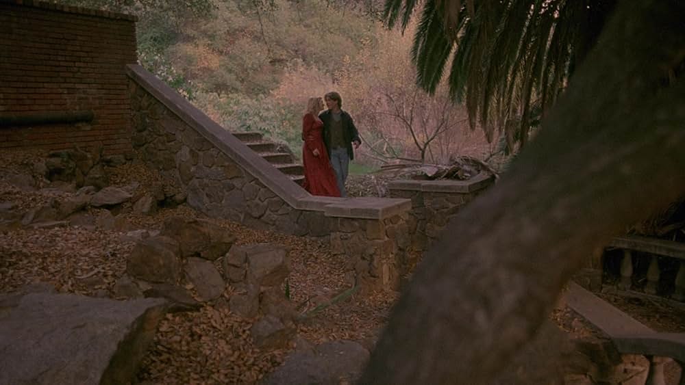 真夜中のミゼットデビルの画像