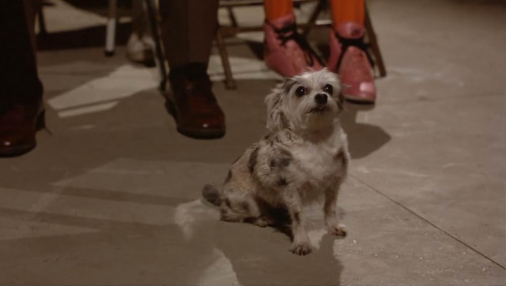 ピーウィーの大冒険の画像