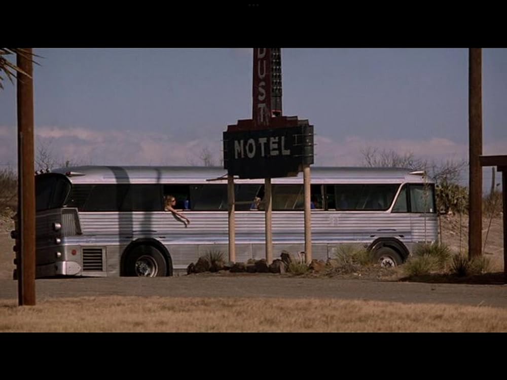 フレッシュ・アンド・ボーン／渇いた愛のゆくえの画像