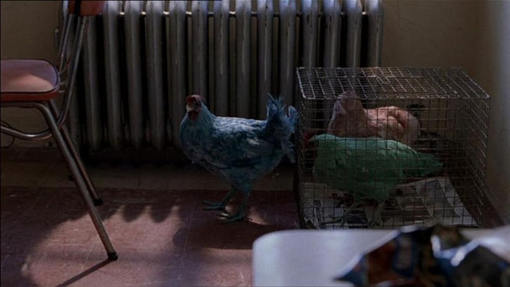 フレッシュ・アンド・ボーン／渇いた愛のゆくえの画像