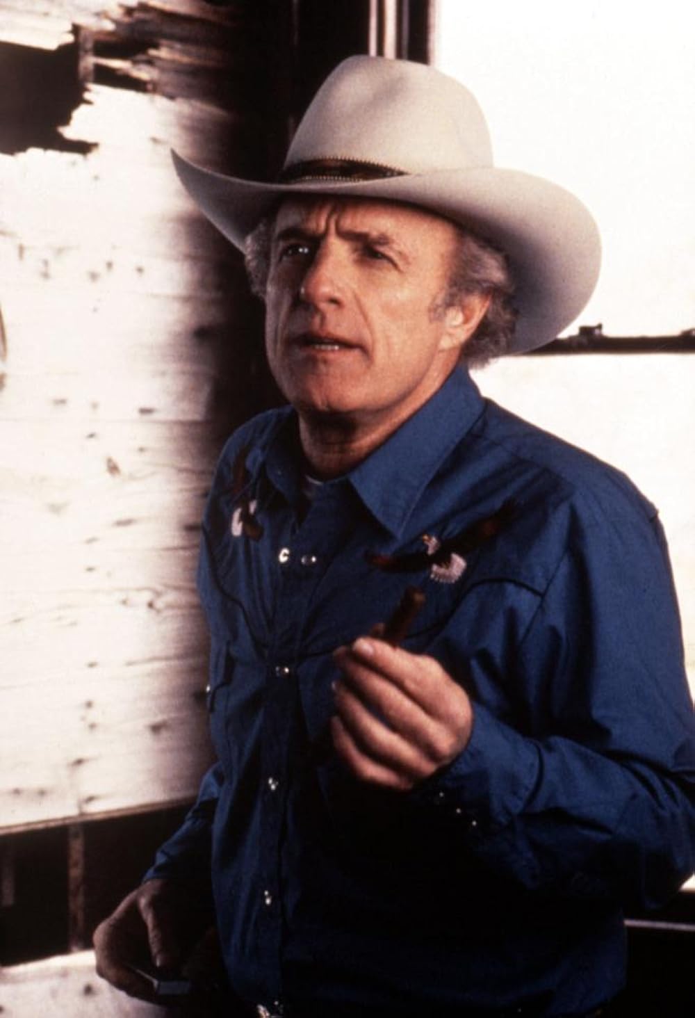 フレッシュ・アンド・ボーン/渇いた愛のゆくえの画像