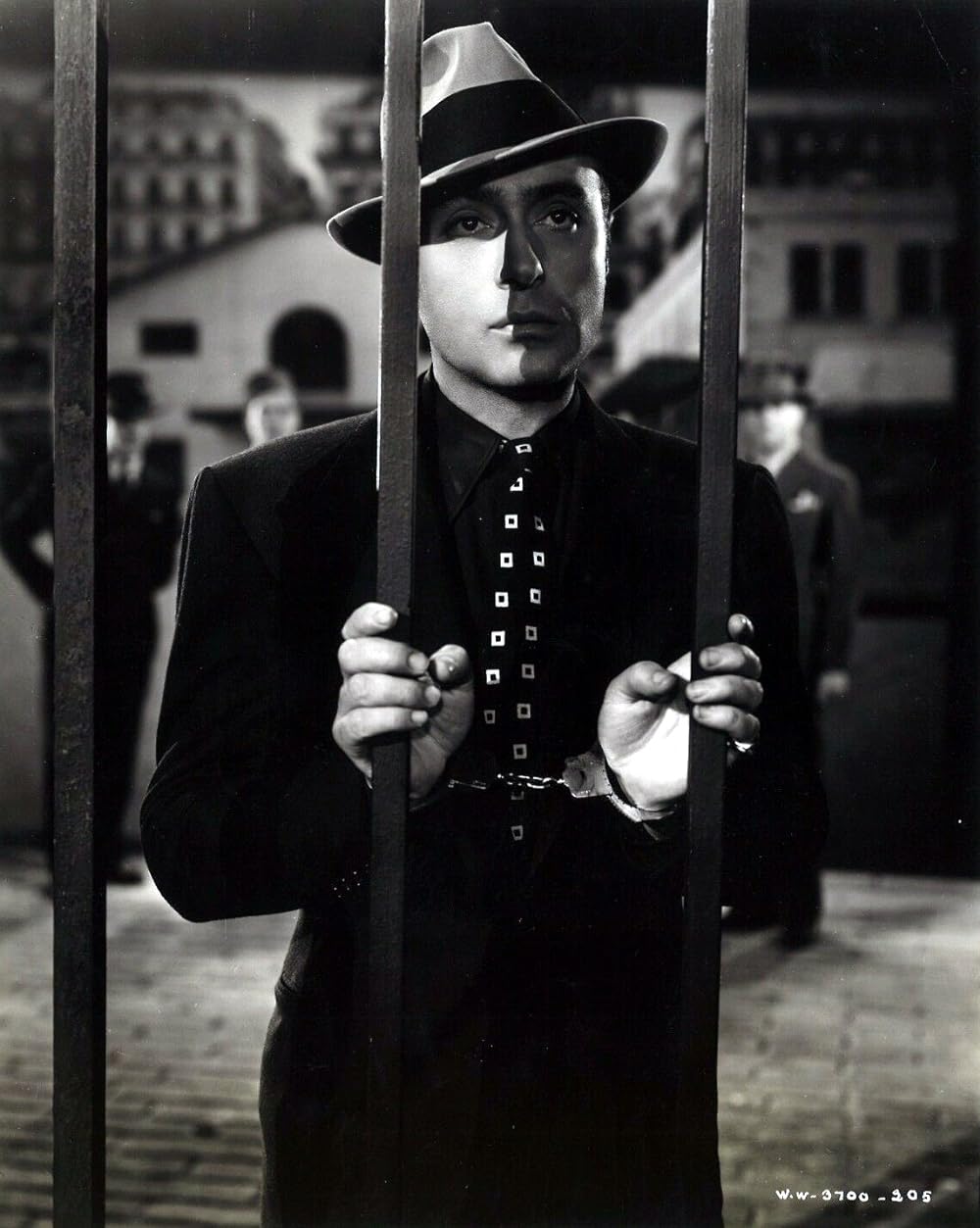 カスバの恋の画像