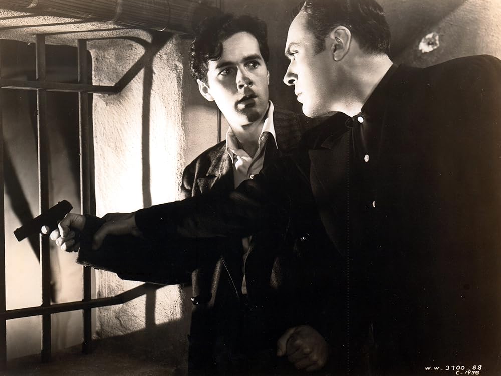 カスバの恋の画像