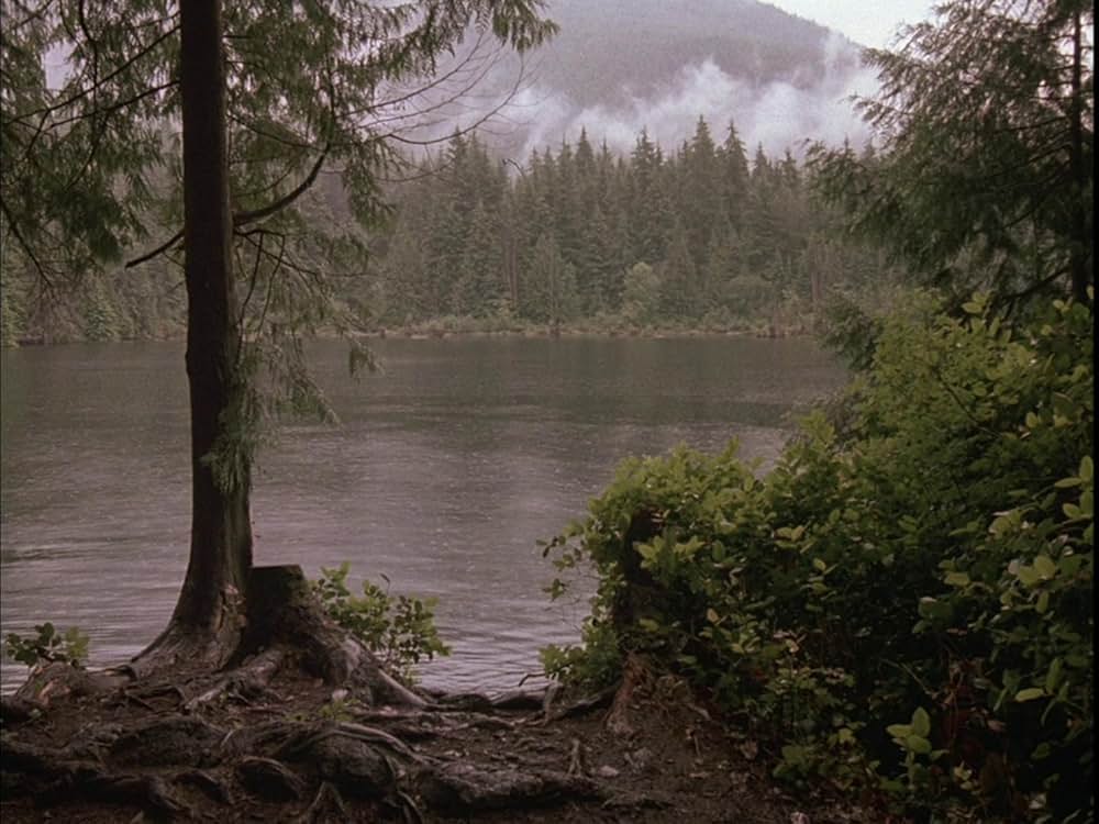 湖畔殺人事件の画像