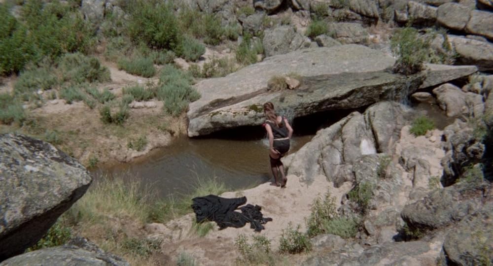 黄金の棺の画像