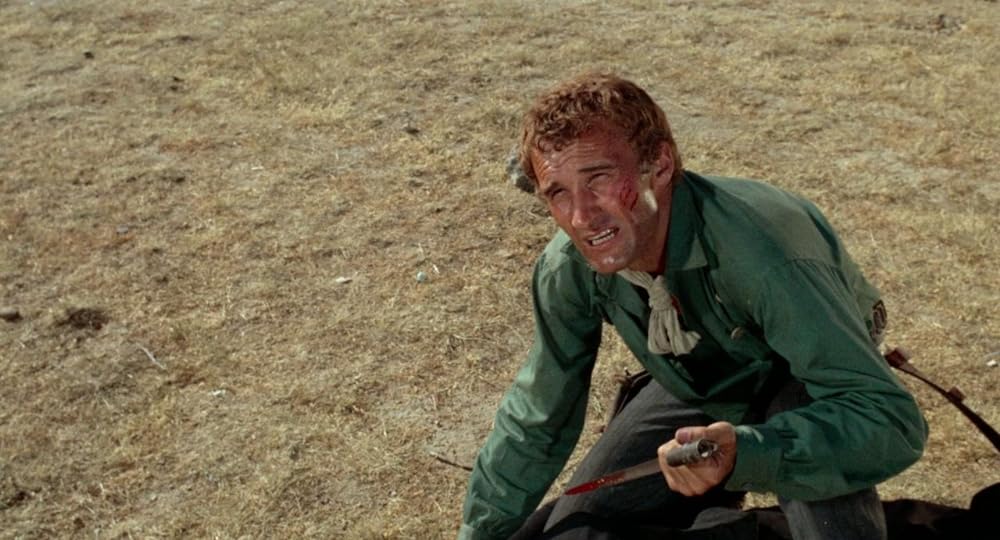 黄金の棺の画像