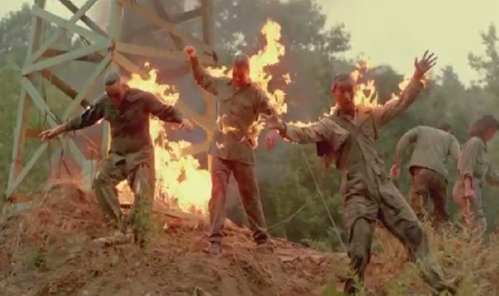 悪魔の毒々プラトーンの画像