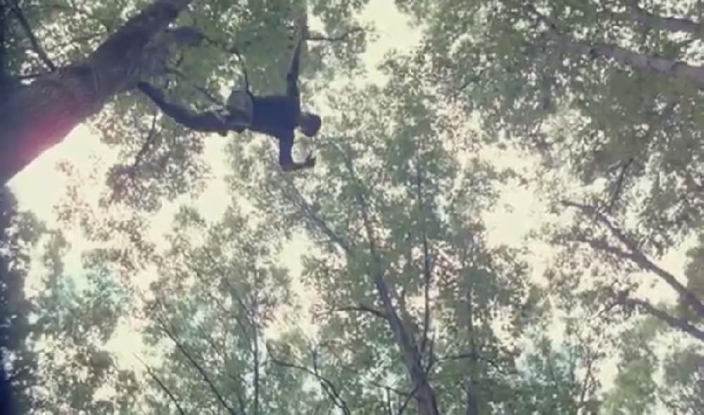 悪魔の毒々プラトーンの画像