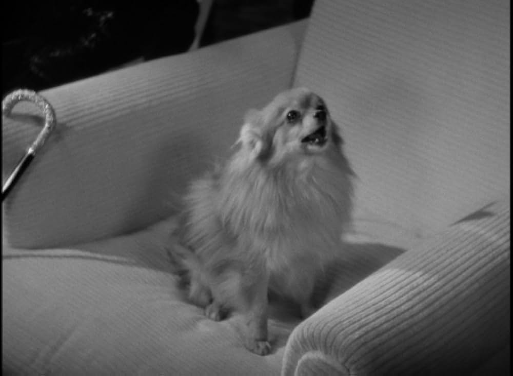 ミッドナイトの画像