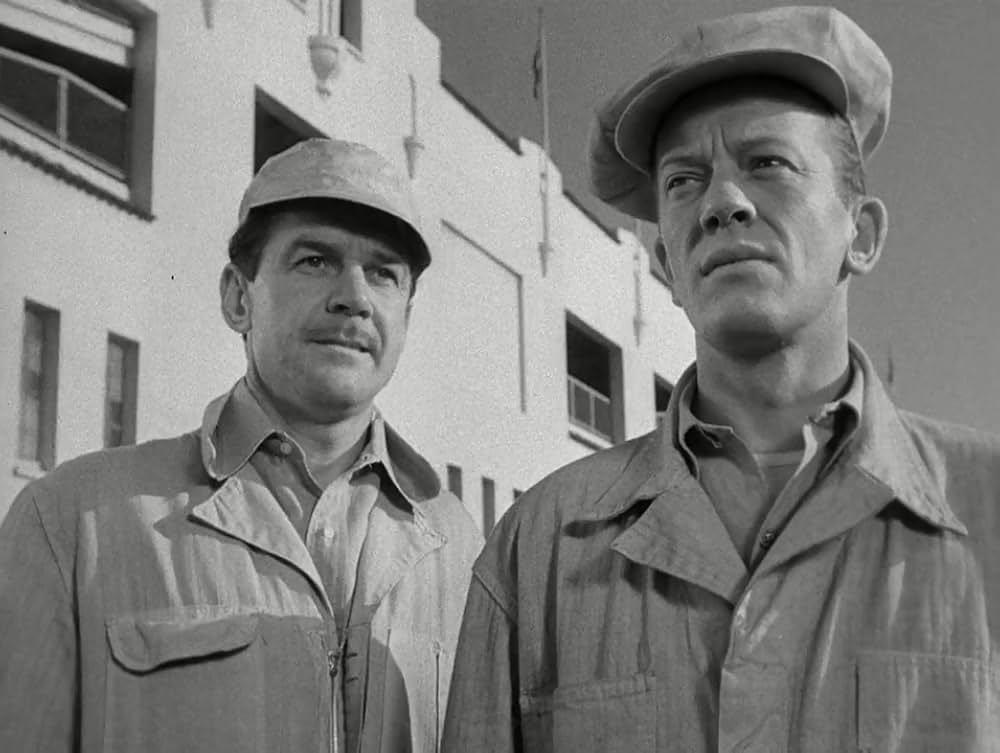 札束無情の画像