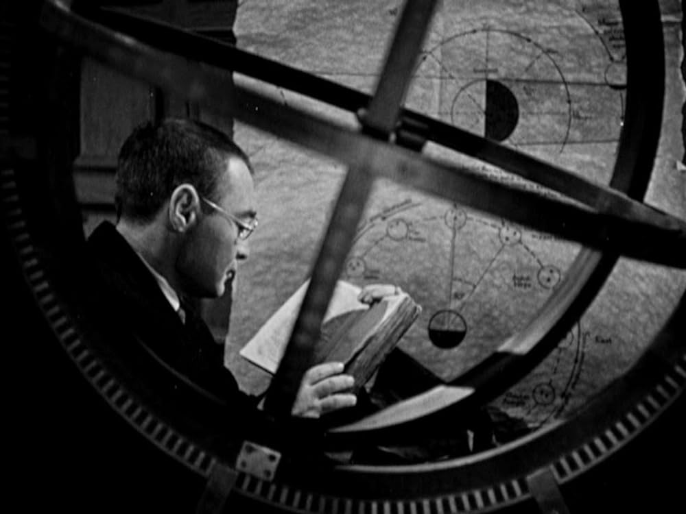 五本指の野獣の画像