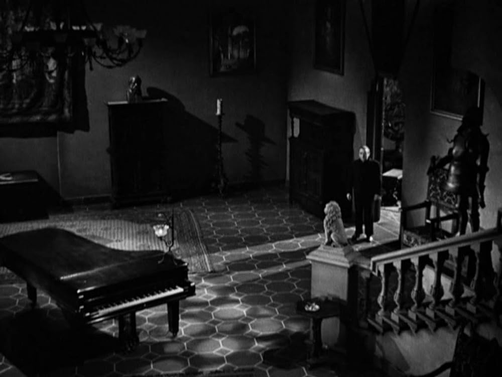 五本指の野獣の画像