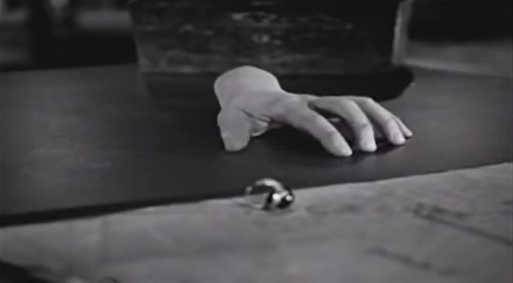 五本指の野獣の画像