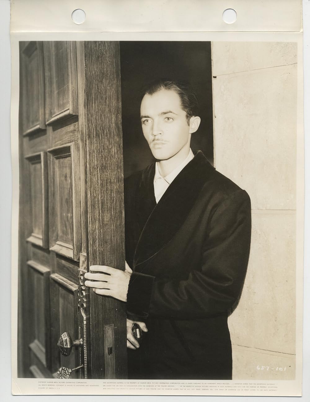 五本指の野獣の画像