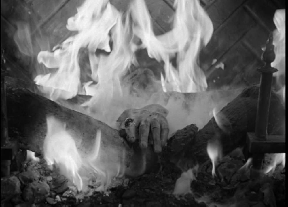 五本指の野獣の画像