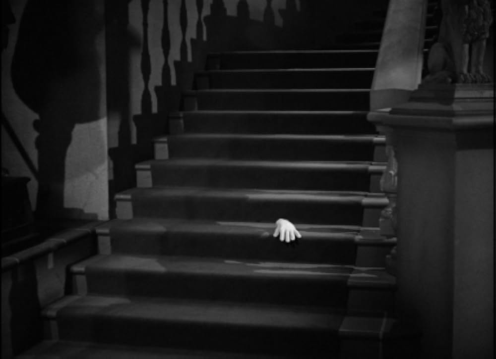 五本指の野獣の画像