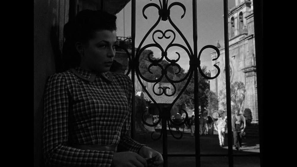 五本指の野獣の画像