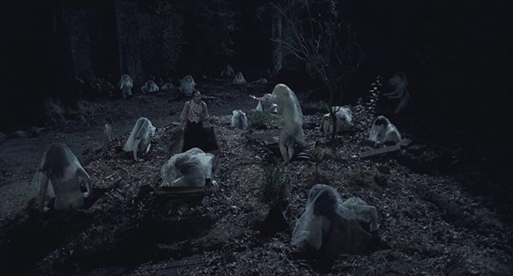 サンタ・サングレ／聖なる血の画像