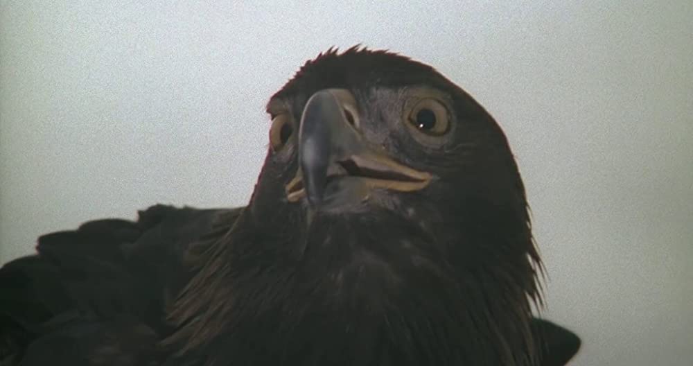 サンタ・サングレ／聖なる血の画像