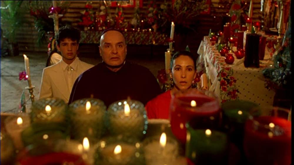 サンタ・サングレ／聖なる血の画像