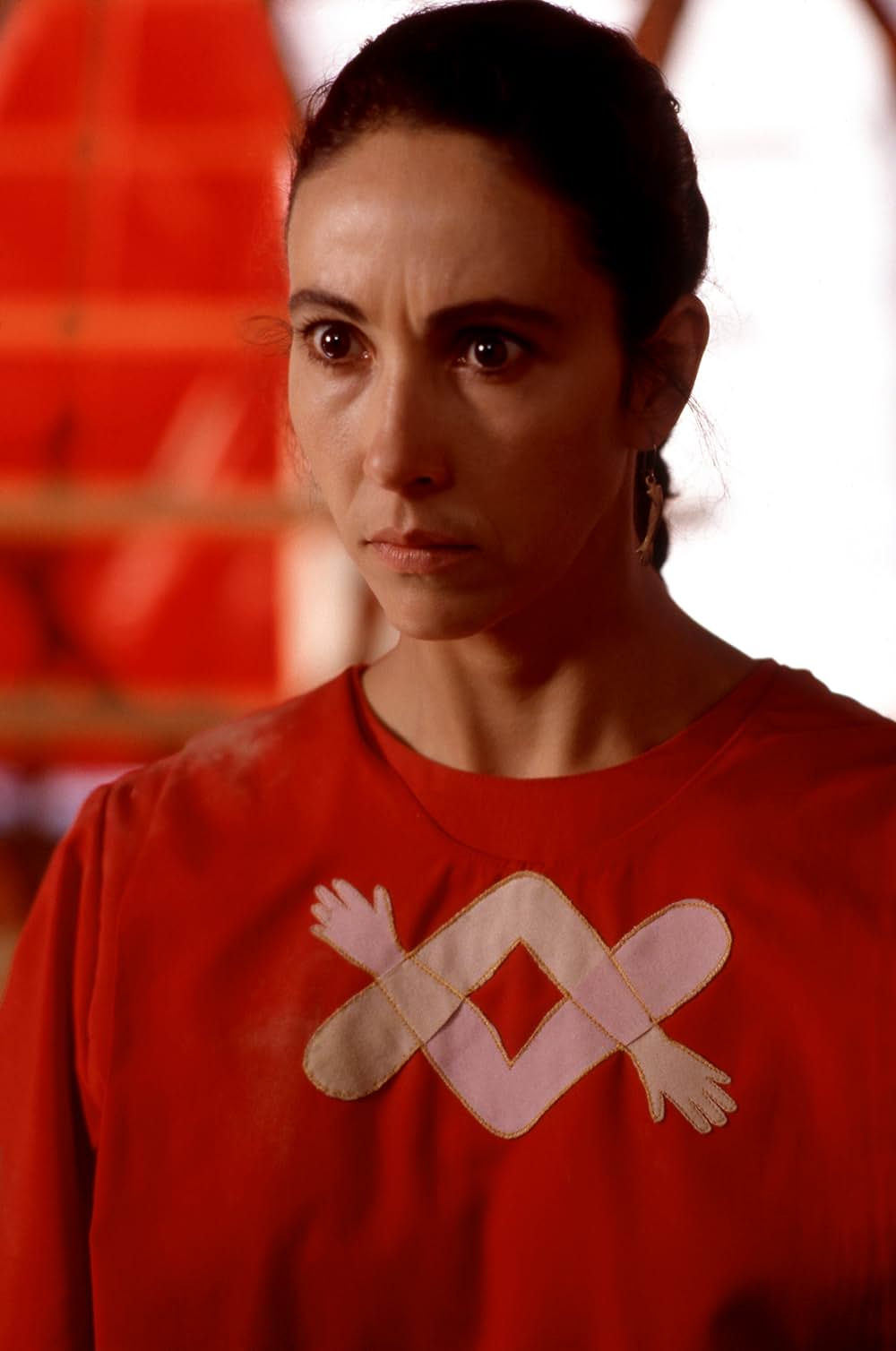 サンタ・サングレ／聖なる血の画像