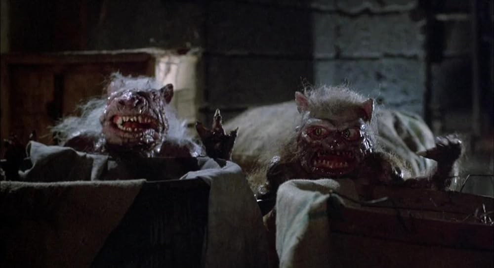 グーリーズの画像