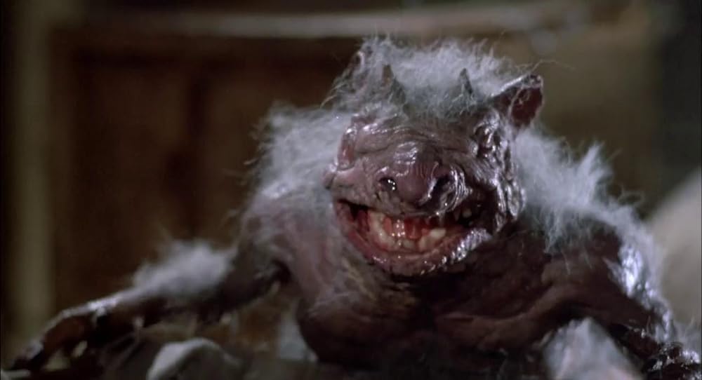 グーリーズの画像