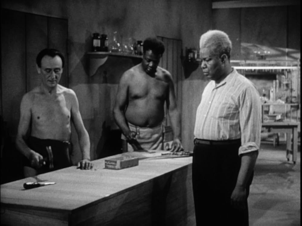 死体に殺された男の画像