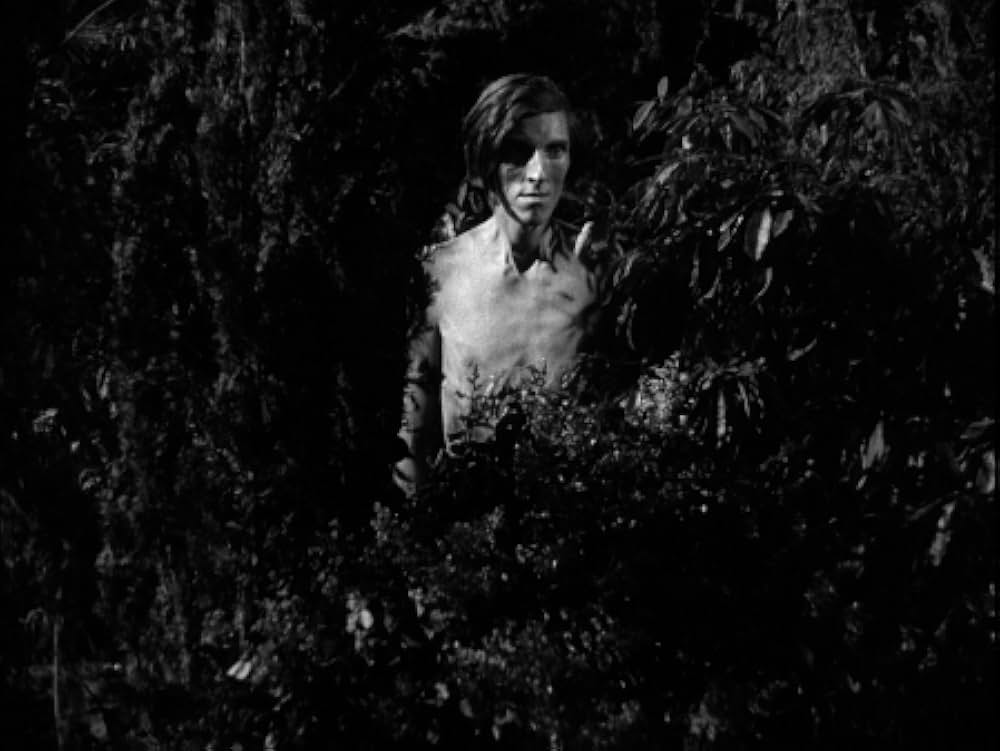 死体に殺された男の画像