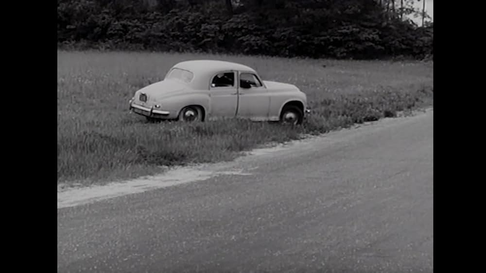 御婚礼／ザ・ウェディング・パーティーの画像