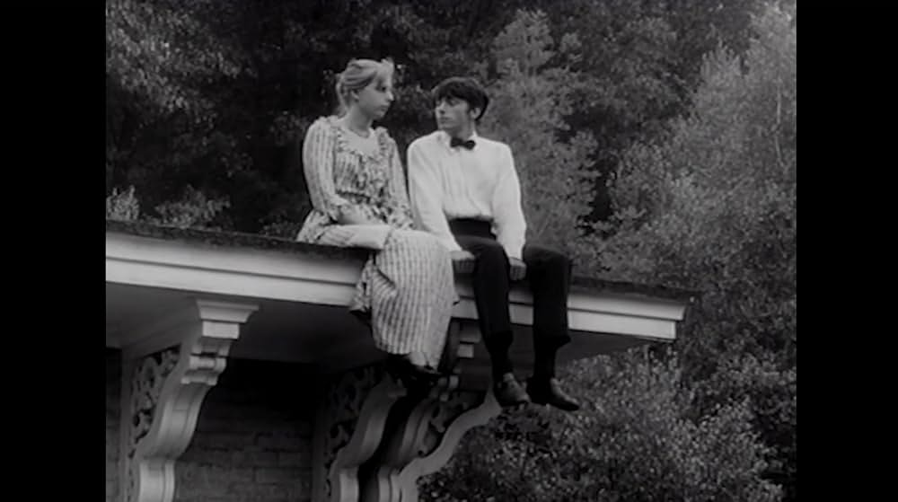 御婚礼／ザ・ウェディング・パーティーの画像