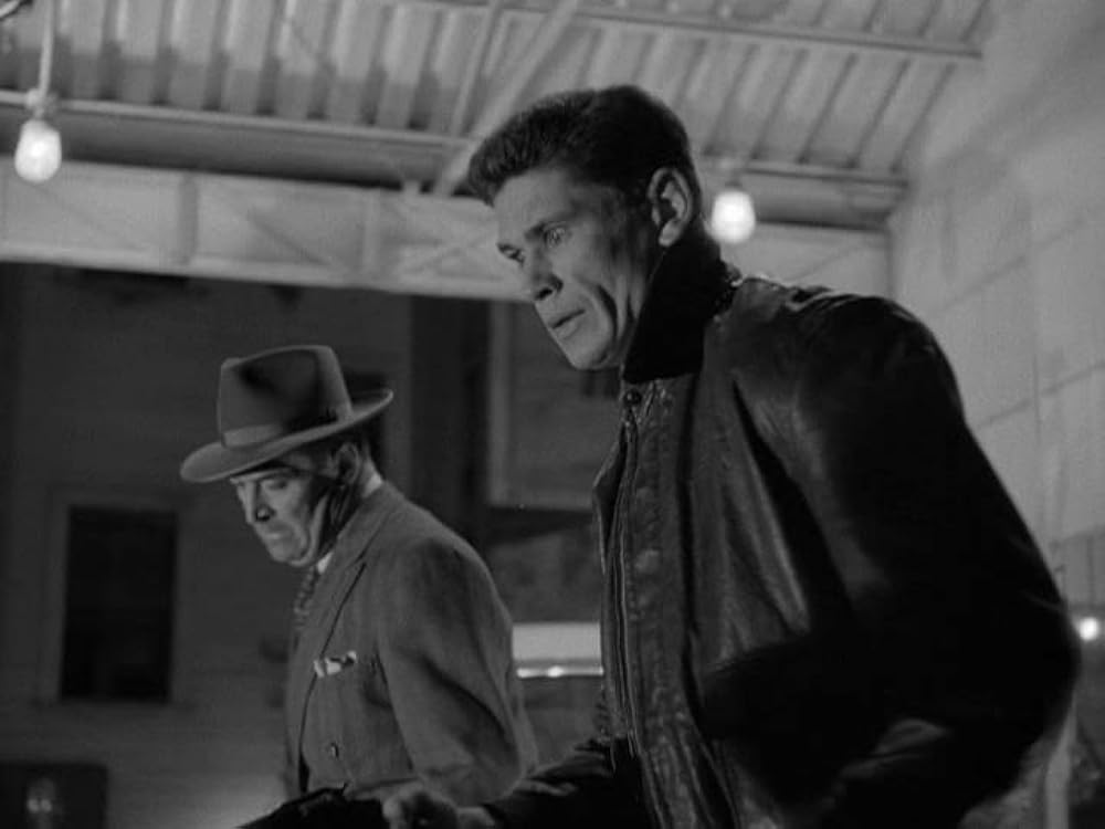 土曜日正午に襲えの画像