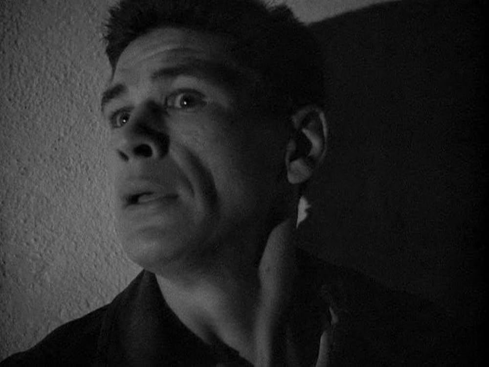 土曜日正午に襲えの画像