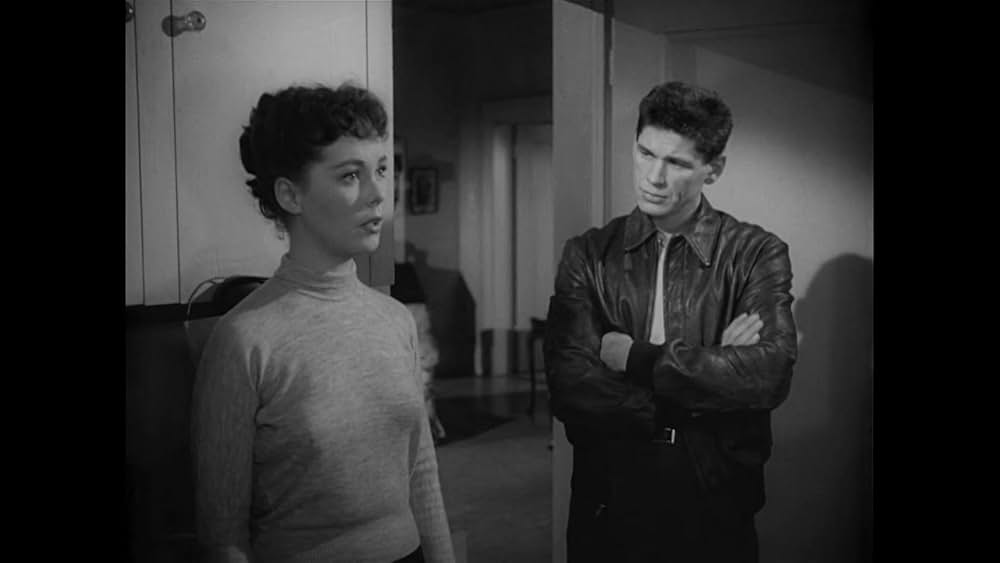 土曜日正午に襲えの画像