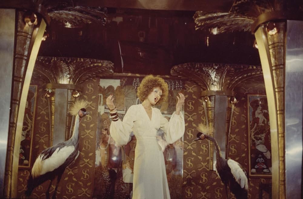 危険な戯れの画像