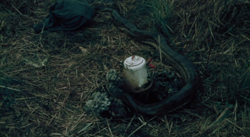 タルトゥの呪い／タートゥ 死霊の呪いの画像